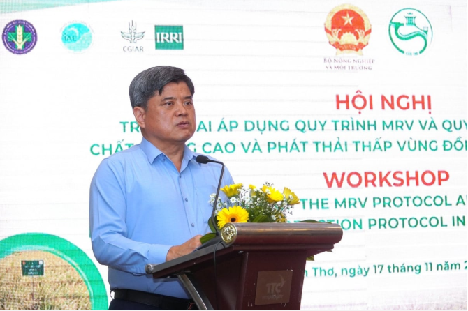 Áp dụng Quy trình MRV cho 300.000ha lúa chất lượng cao